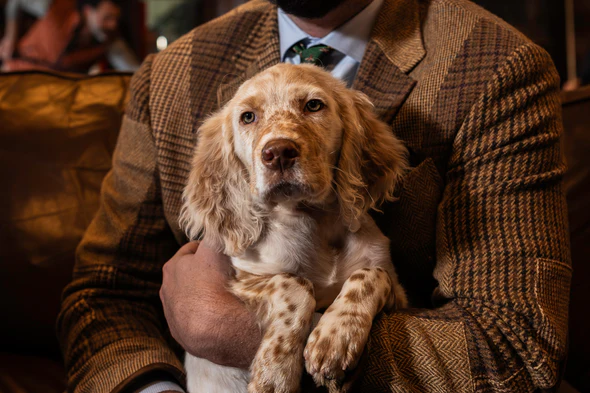 Masterly Crafted For The Conqueror